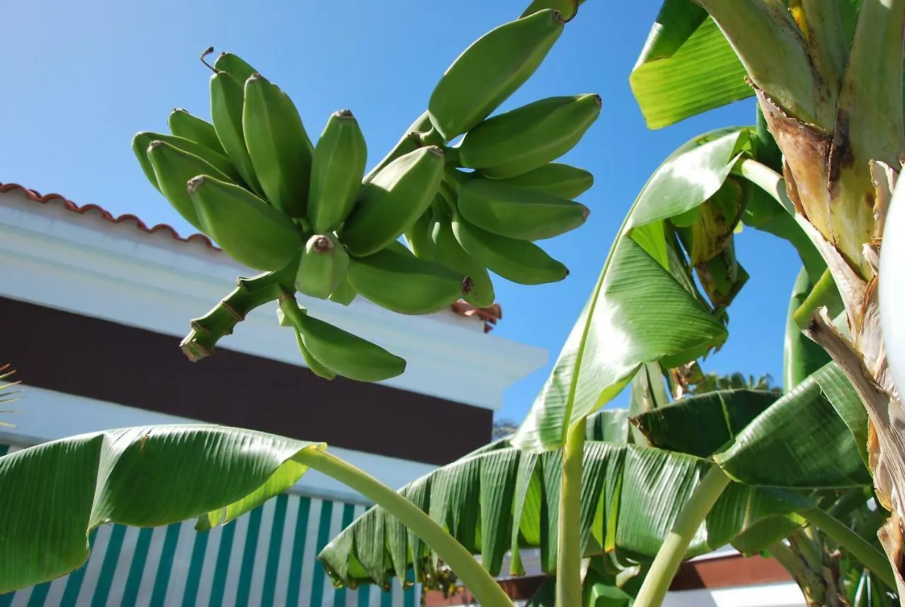 Lacy Golf Apartments (Adults Only) Maspalomas   Maspalomas (Gran Canaria)